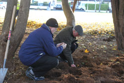 image of volunteers digging and planting