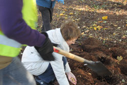 Community members planting seeds for spring